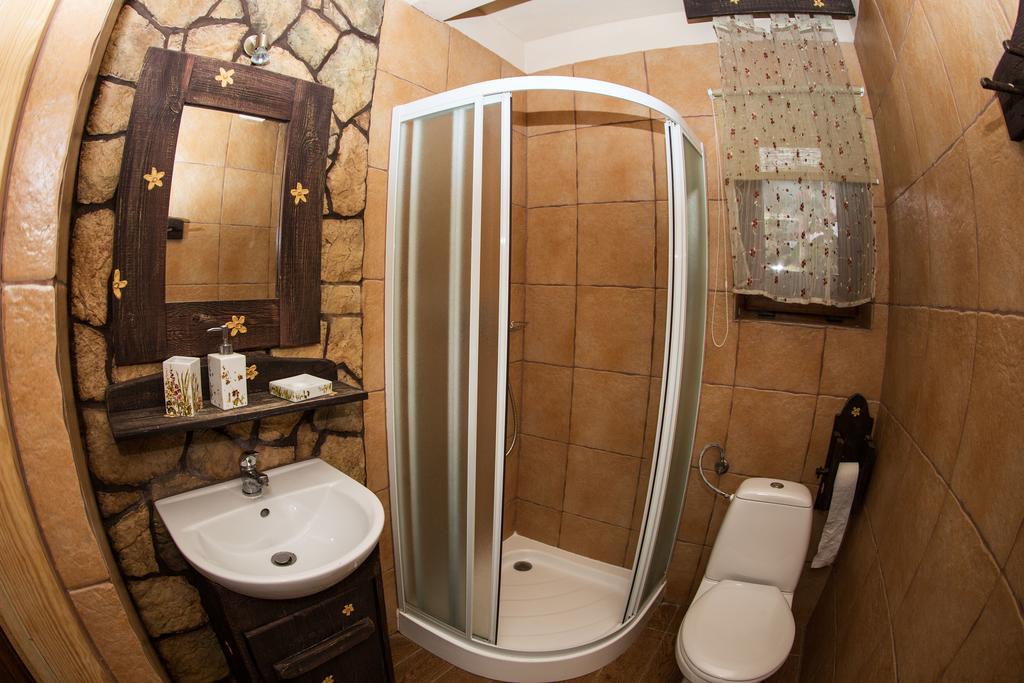 Zielony Ruczaj Cisna Kamer foto